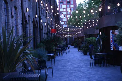 DSC_1723 (Large).JPG